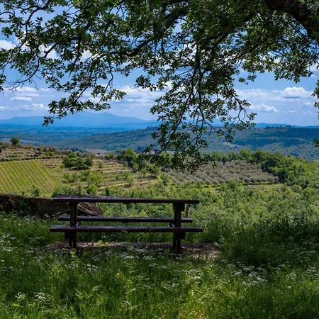 Prázdninový dům Casa Allegra Gaiole in Chianti